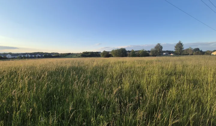 Działka rolno-budowlana Kraków Sidzina, Brak