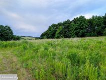 Działka budowlana Cieszów, ul. Wilcza. Zdjęcie 2