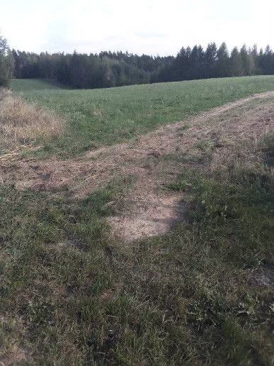 Działka budowlana Mszano. Zdjęcie 7