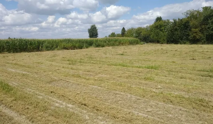 Działka budowlana Przeworsk, ul. Mikołaja Kopernika