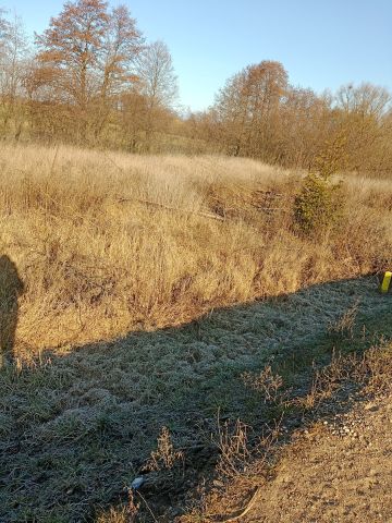 Działka budowlana Jedwabne. Zdjęcie 1