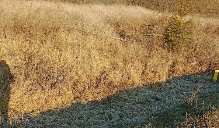 Działka budowlana Jedwabne