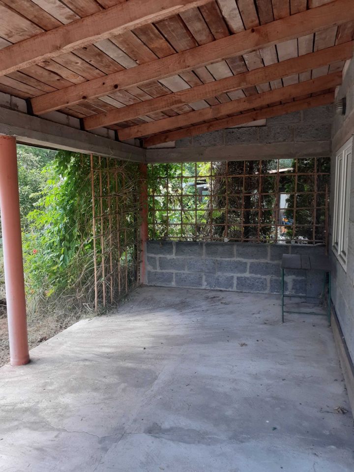 Działka rod Żyrardów, ul. Adama Mickiewicza. Zdjęcie 8