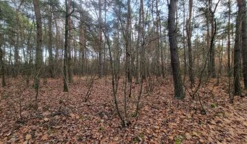 Działka leśna Omięciny