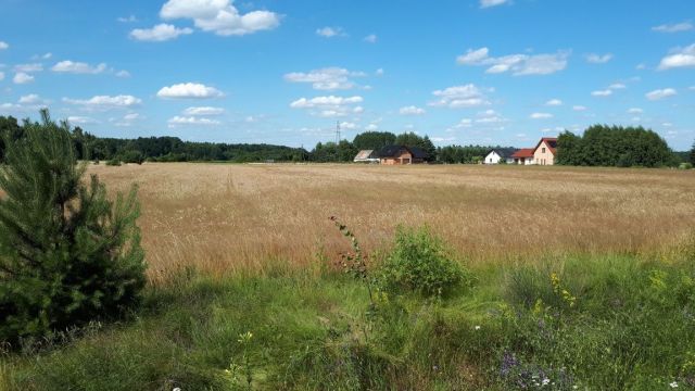 Działka budowlana Krzydlina Wielka. Zdjęcie 1