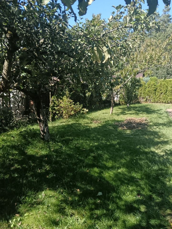 Działka rod Lisów. Zdjęcie 3