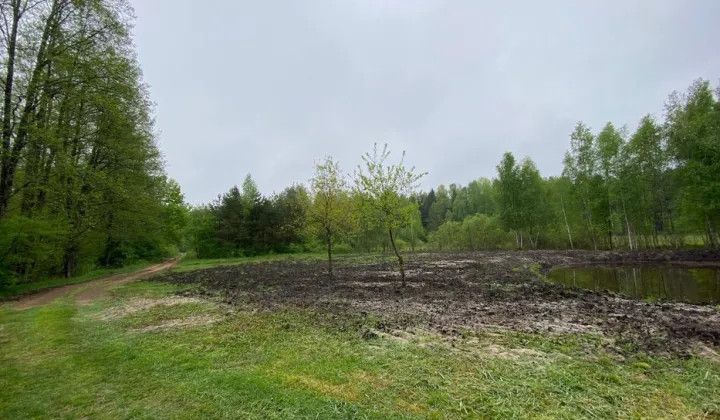 Działka budowlana Płaska