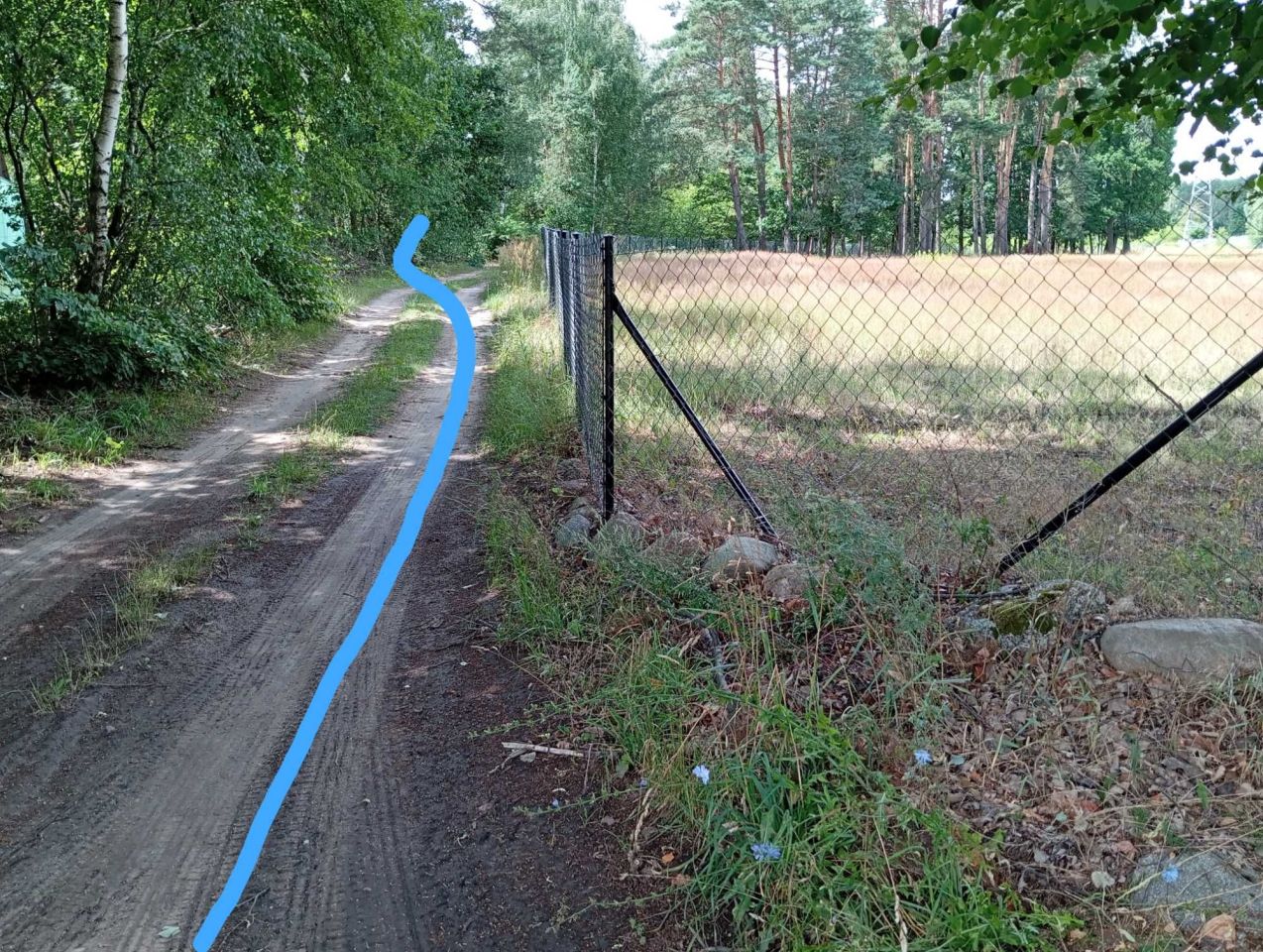 Działka leśna Ludwikowo. Zdjęcie 5