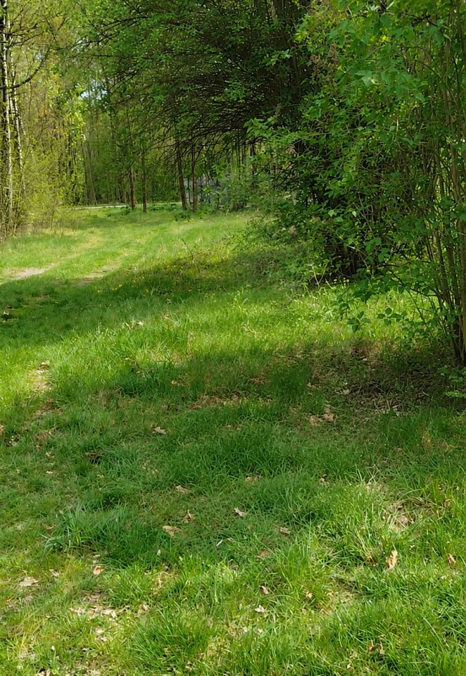 Działka rolno-budowlana Zakrzew-Las. Zdjęcie 1