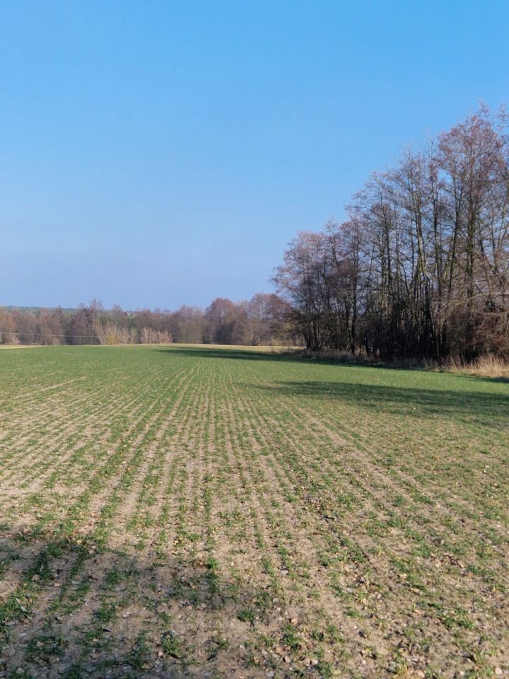 Działka budowlana Pruszkowo. Zdjęcie 4