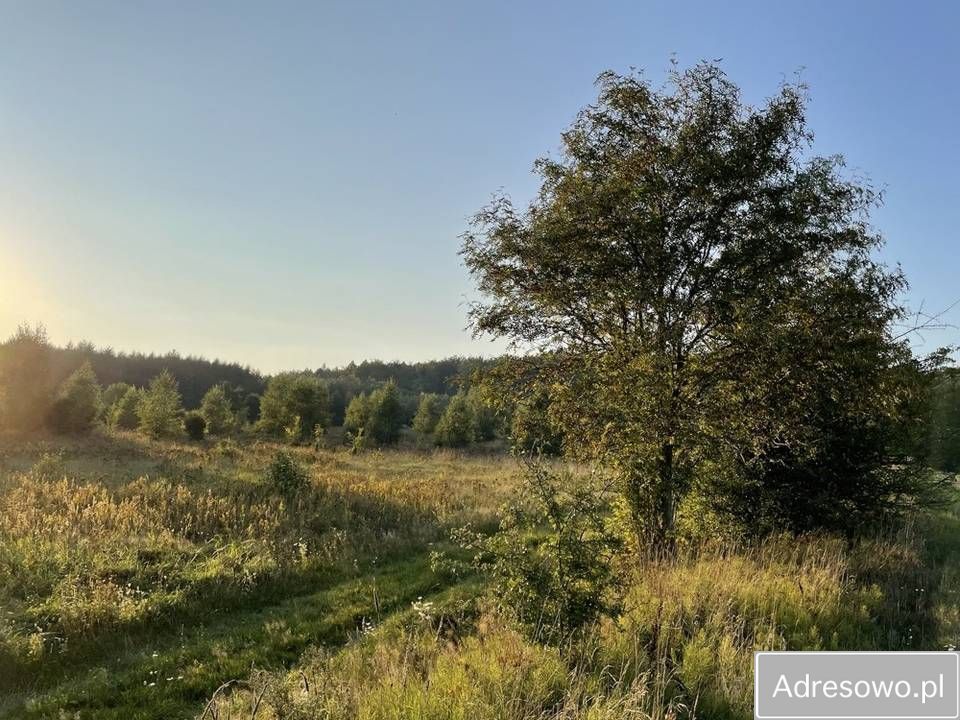 Działka rolna Mechowo. Zdjęcie 7