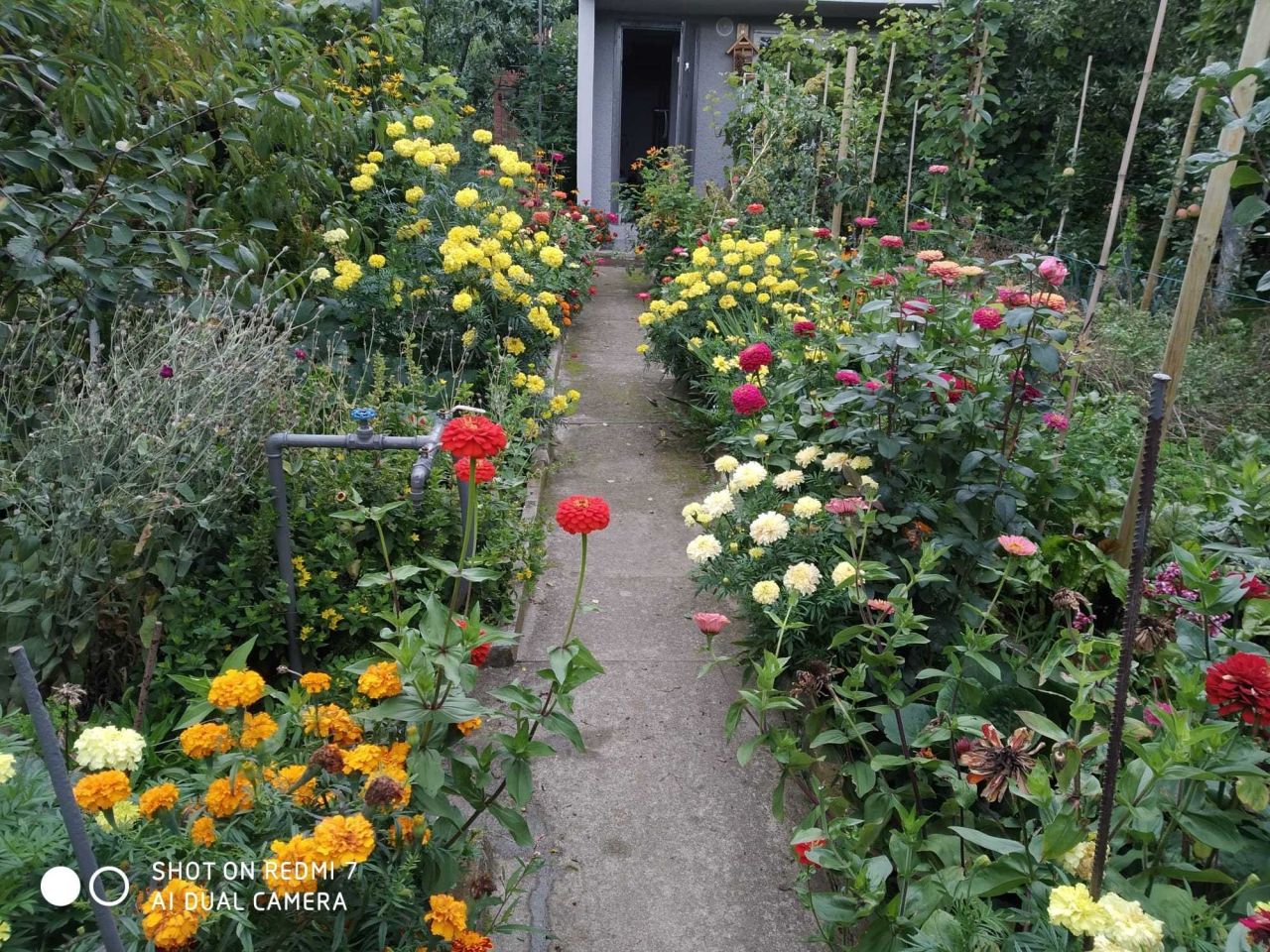 Działka rod Osiek. Zdjęcie 6