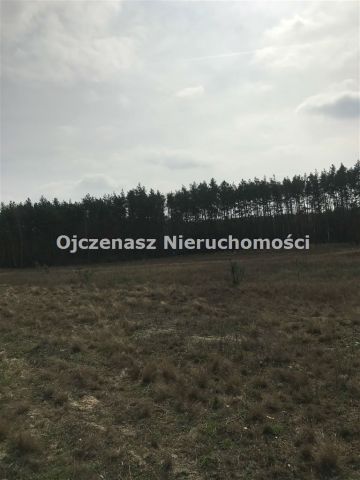 Działka rolna Czarże. Zdjęcie 3