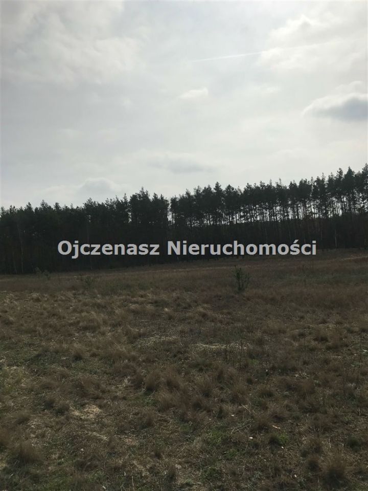 Działka rolna Czarże. Zdjęcie 3