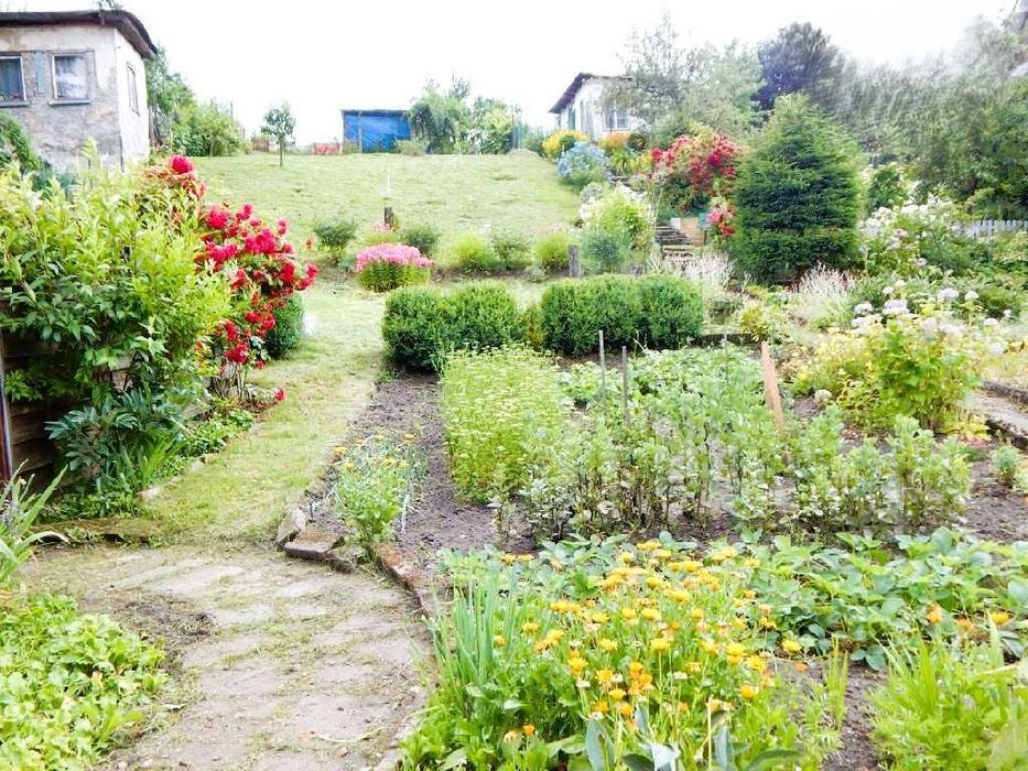 Mieszkanie 2-pokojowe Wałbrzych Stary Zdrój, ul. Kombatantów. Zdjęcie 10