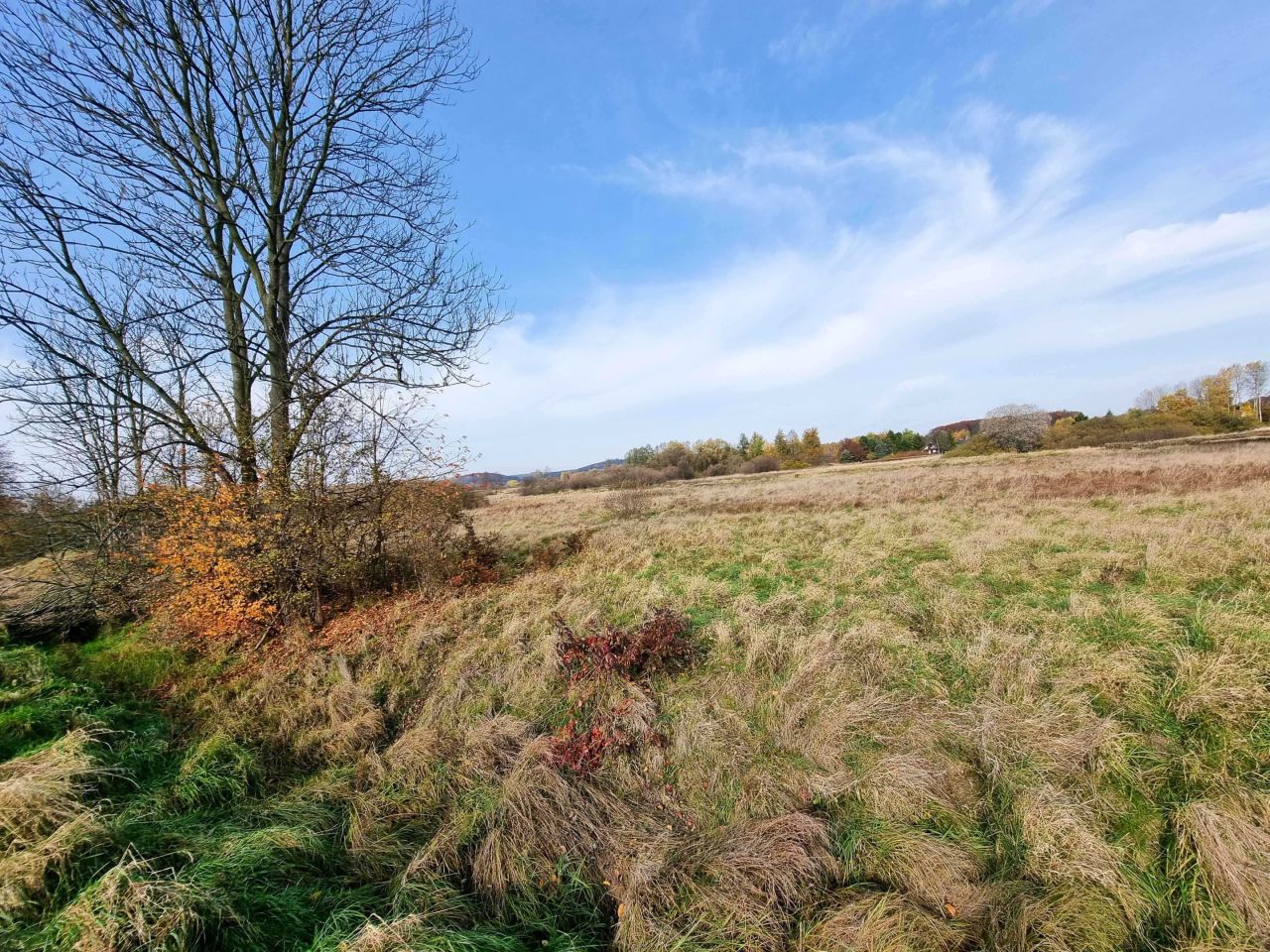 Działka inwestycyjna Morawica. Zdjęcie 4