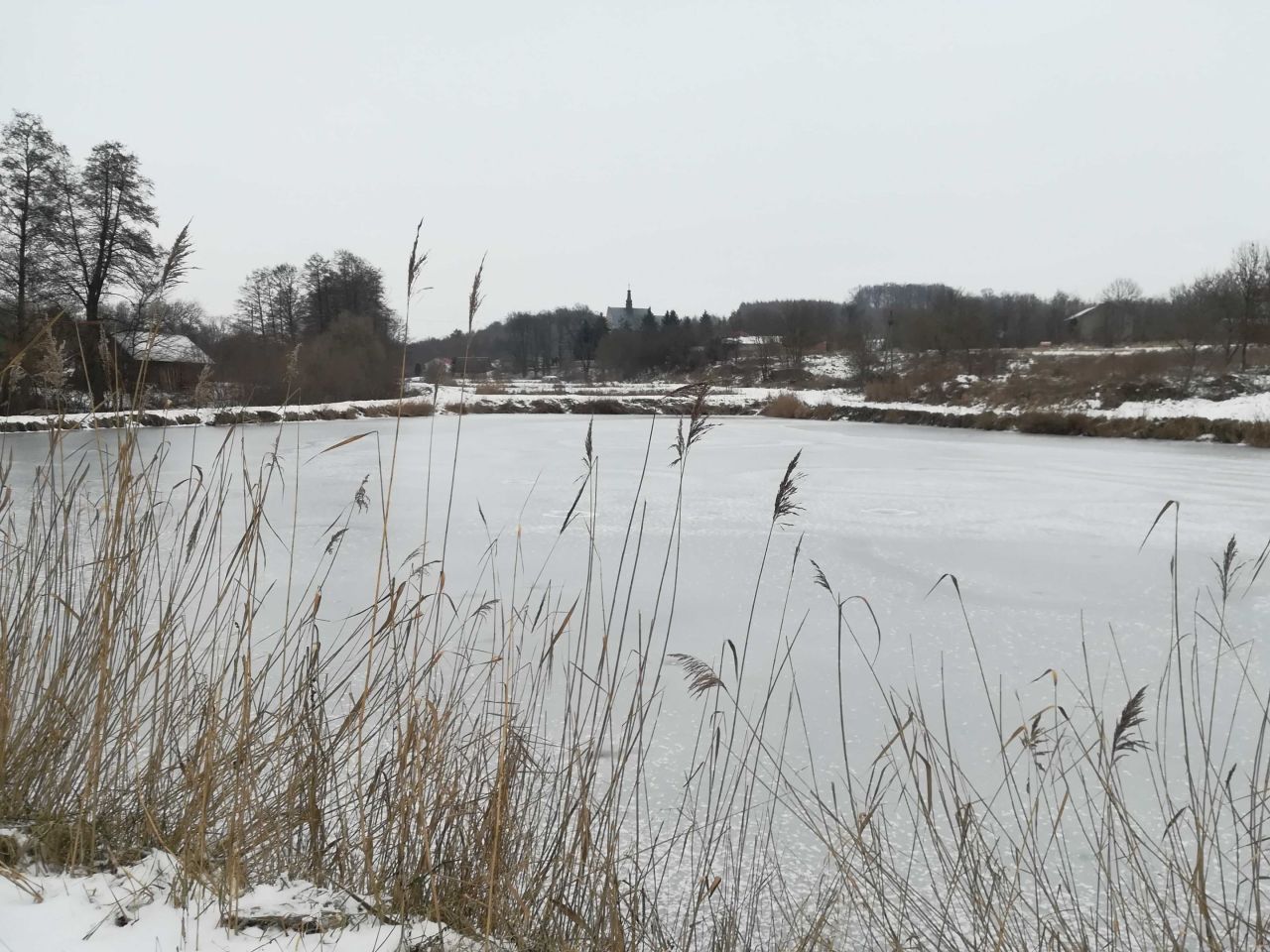 Działka rolno-budowlana Szumsko-Kolonie. Zdjęcie 6