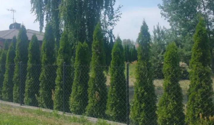 Działka budowlana Żuków