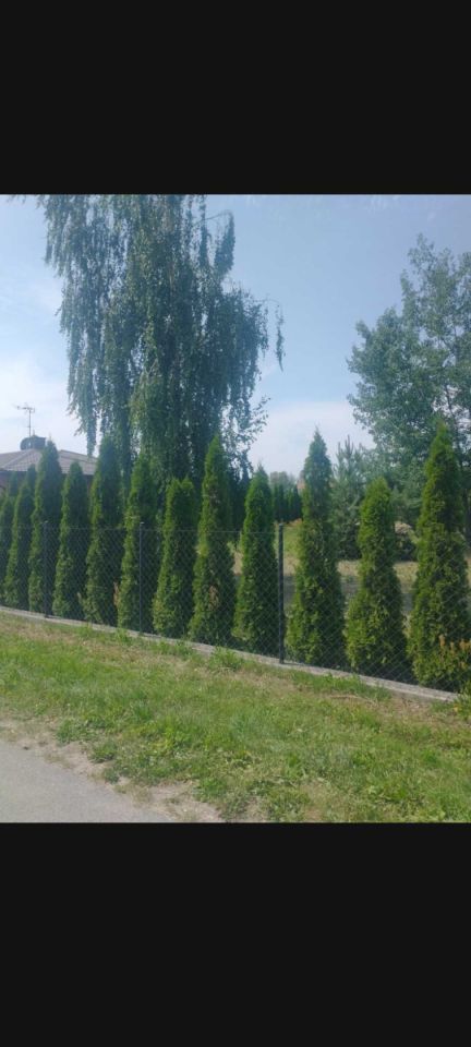 Działka budowlana Żuków. Zdjęcie 3