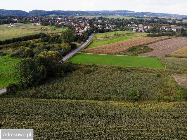 Działka budowlana Brzezinka, ul. Łąkowa. Zdjęcie 1
