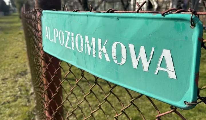 Działka rod Gdynia Babie Doły