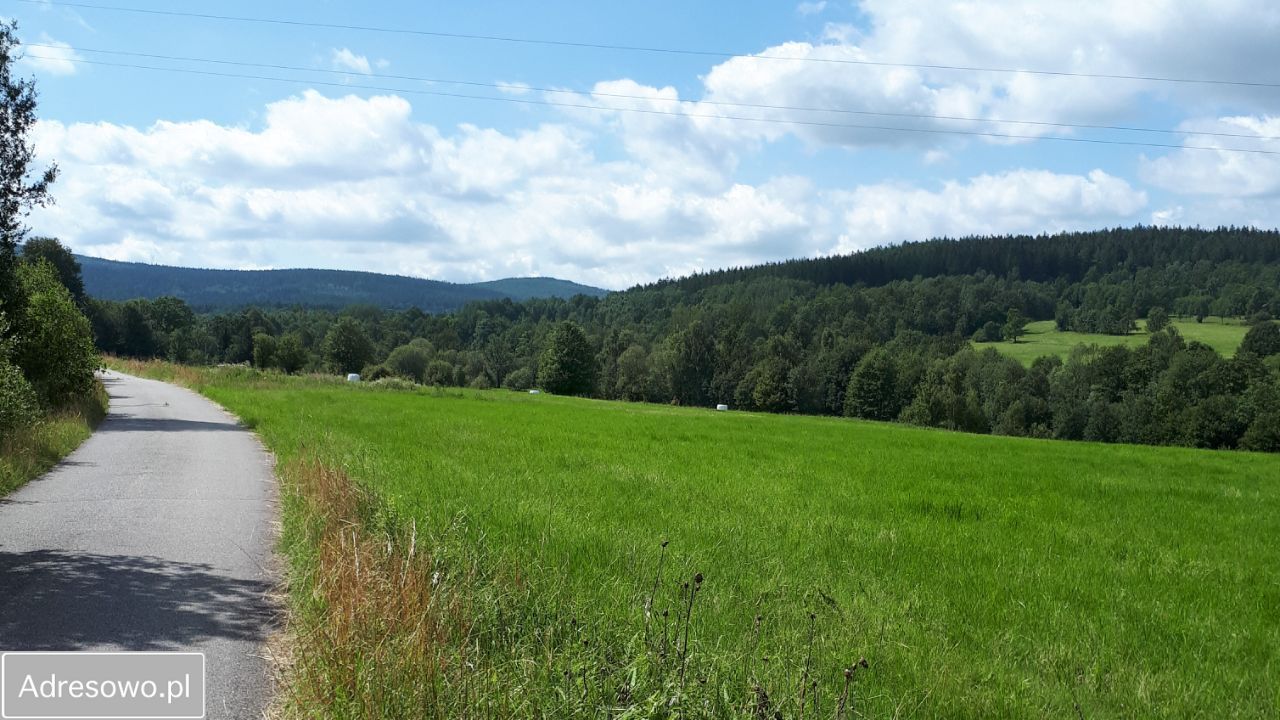 Działka rolna Chromiec. Zdjęcie 2
