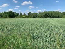 Działka rolno-budowlana Idzikowice, ul. Słoneczna. Zdjęcie 3