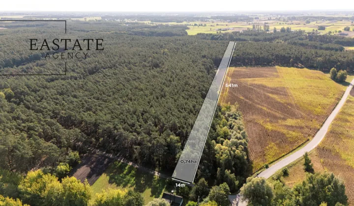 Działka leśna Maurzyce