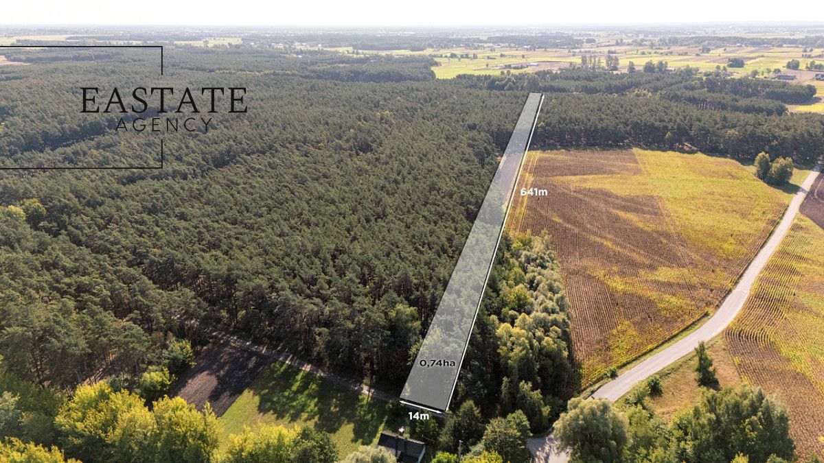 Działka leśna Maurzyce. Zdjęcie 1