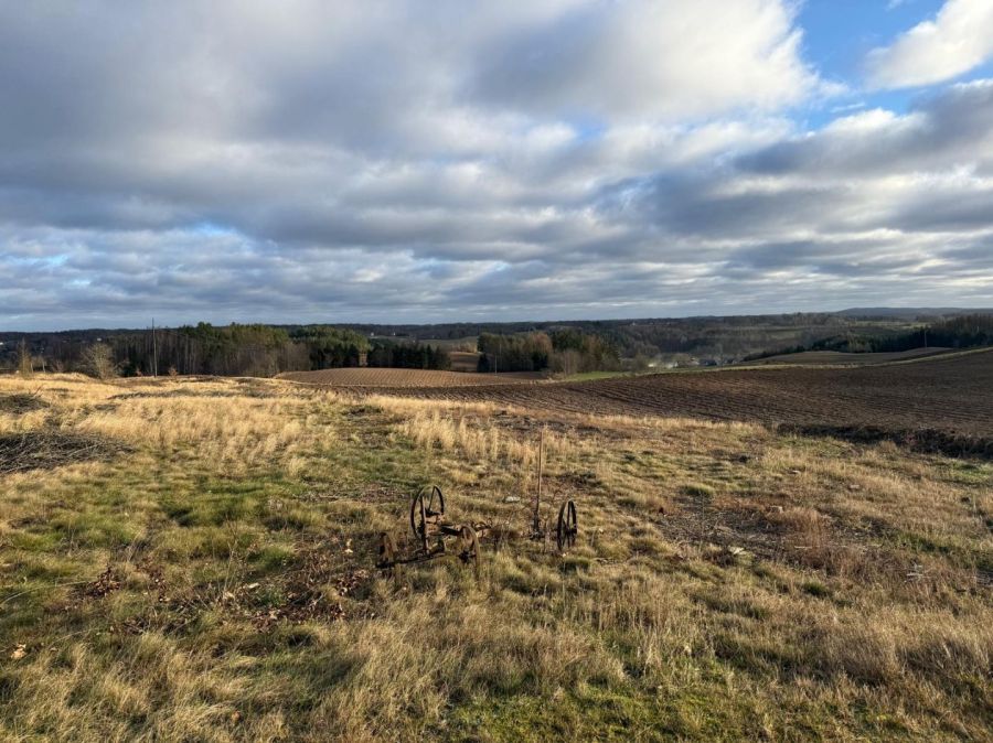 Działka budowlana Borzestowo. Zdjęcie 4