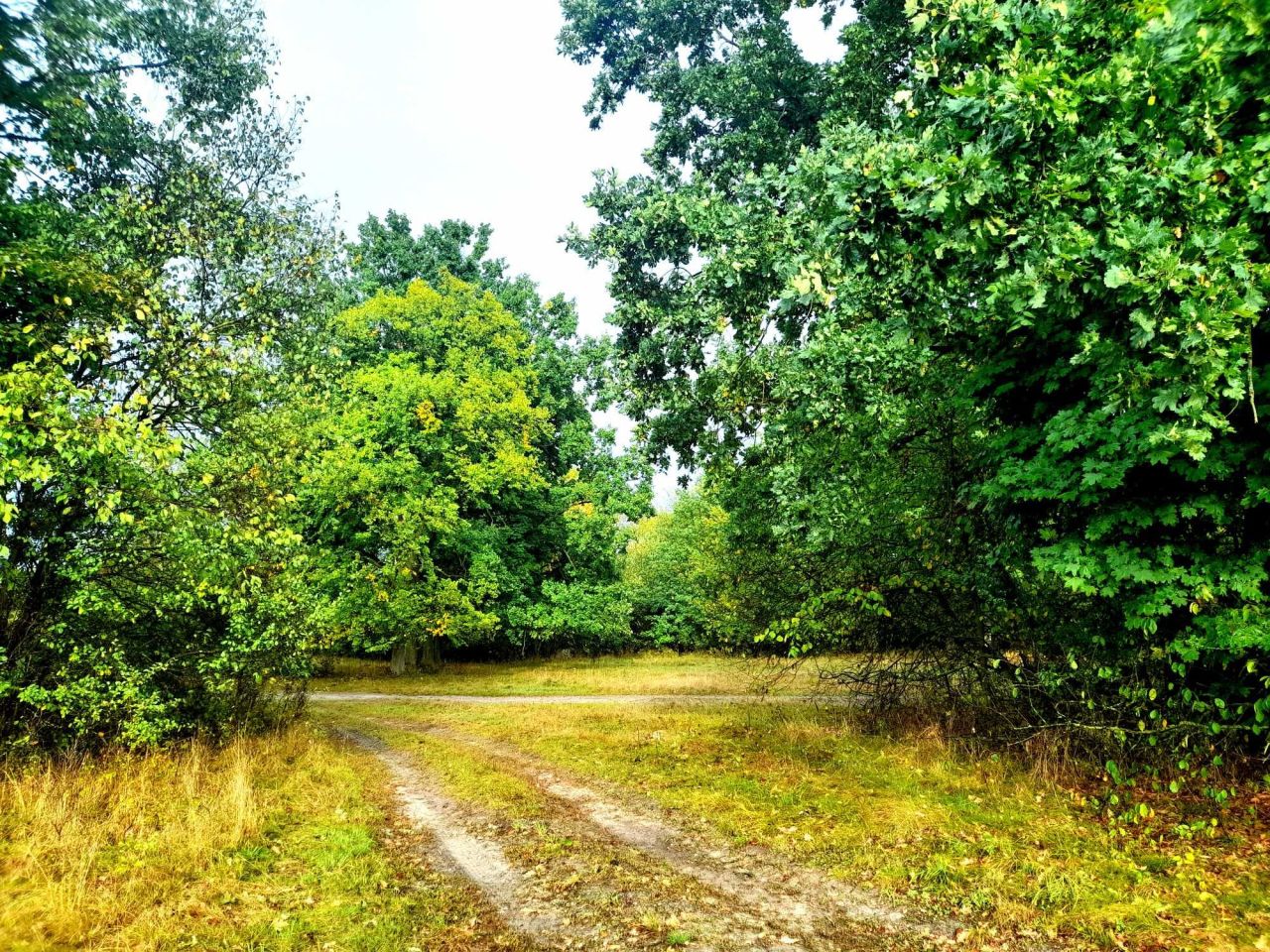 Działka budowlana Kropiwki. Zdjęcie 6