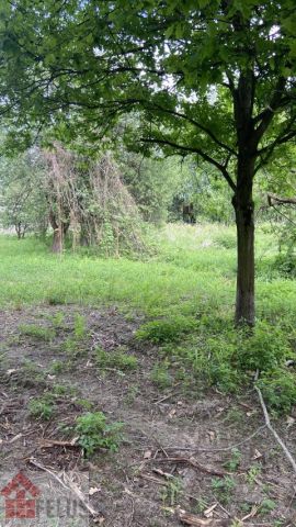 Działka rolno-budowlana Piekary. Zdjęcie 4