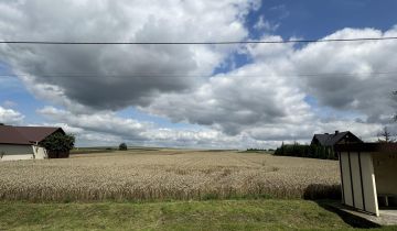 Działka budowlana Prandocin-Iły