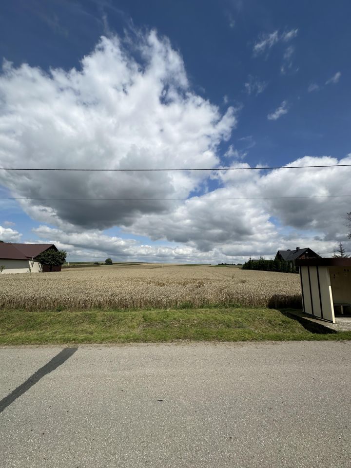 Działka budowlana Prandocin-Iły. Zdjęcie 2