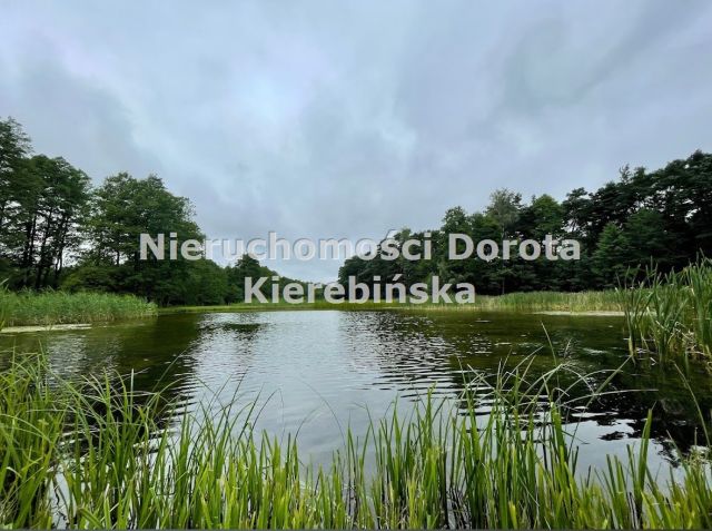 Działka rolna Stefanów. Zdjęcie 5