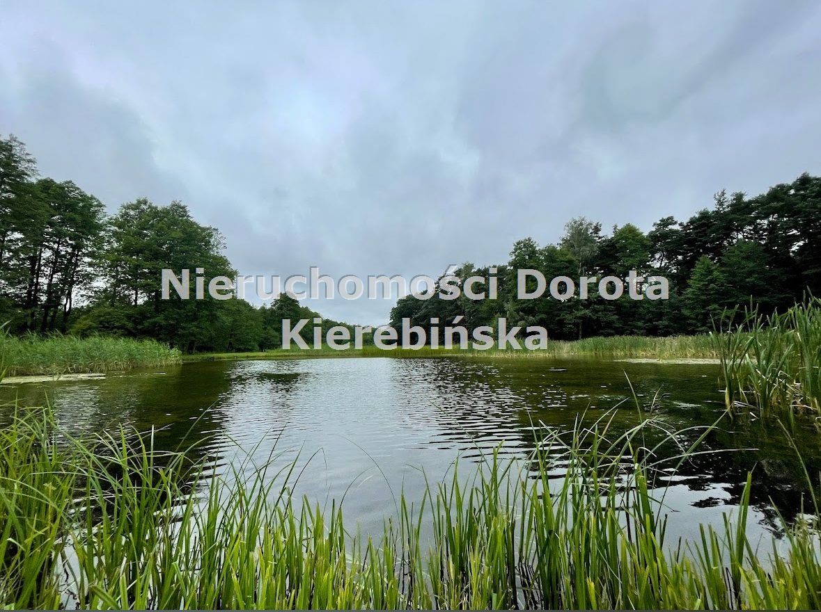 Działka rolna Stefanów. Zdjęcie 5