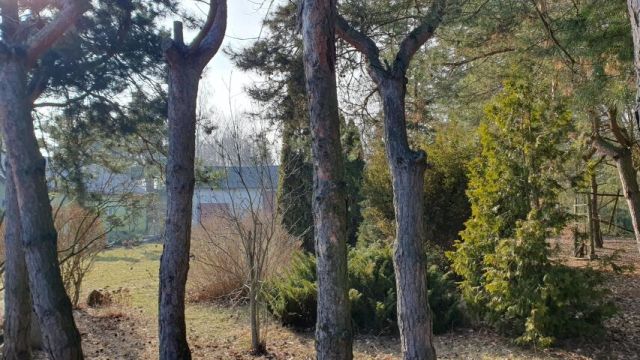 Działka budowlana Ustanów. Zdjęcie 12