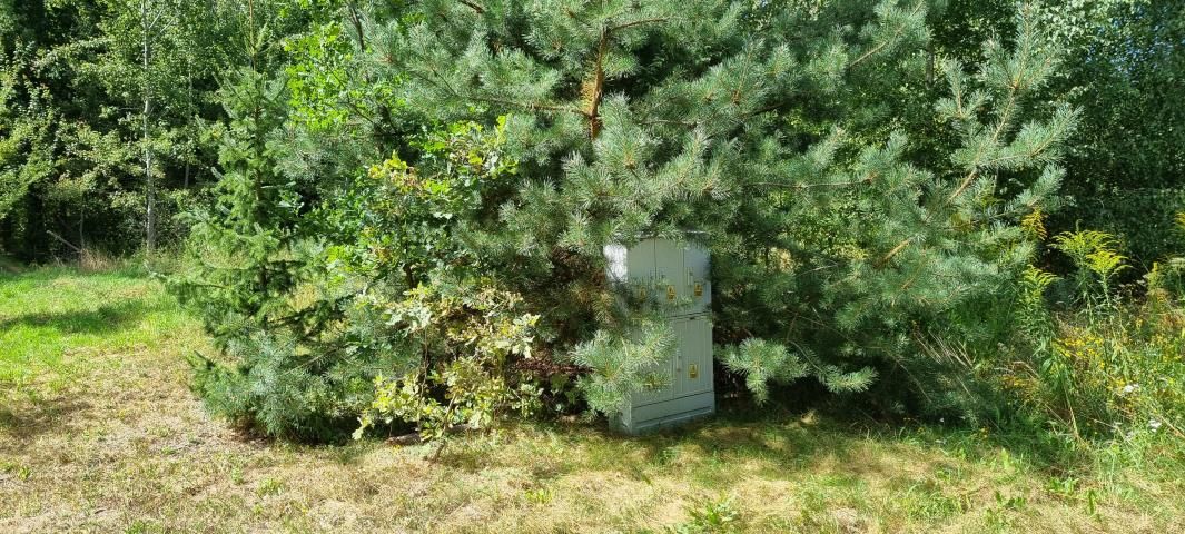 Działka budowlana Rusiec. Zdjęcie 5