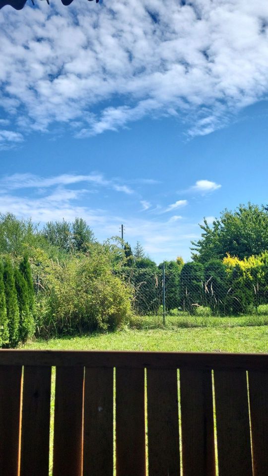 Działka rod Gliwice Wójtowa Wieś, ul. Ignacego Daszyńskiego. Zdjęcie 7