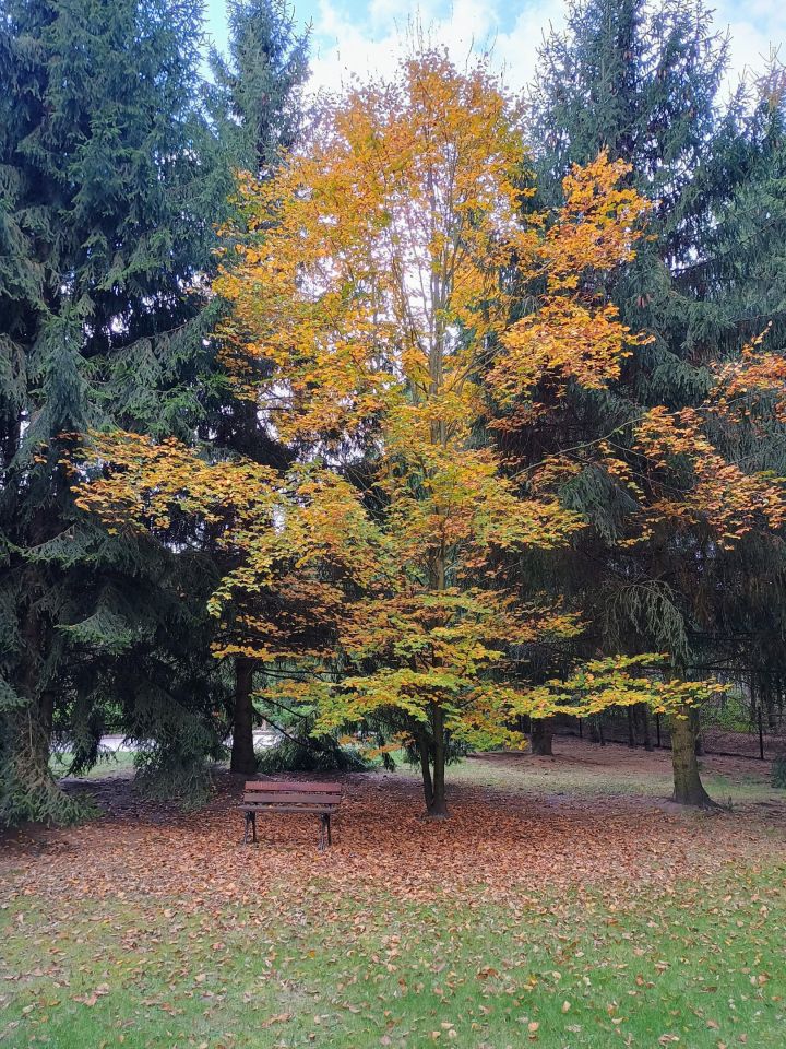 Działka siedliskowa Husynne, ---. Zdjęcie 25