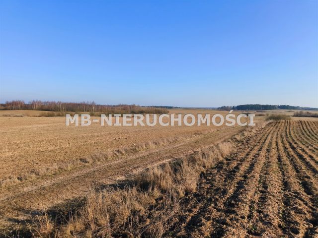 Działka rolna Grabnik. Zdjęcie 2