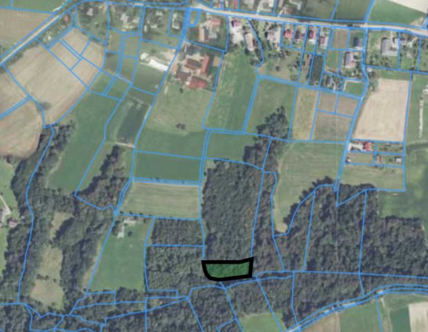 Działka leśna Brzezowa. Zdjęcie 1