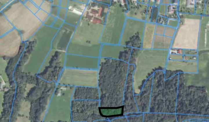 Działka leśna Brzezowa