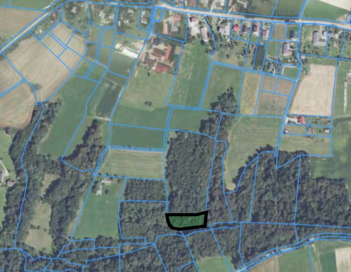 Działka leśna Brzezowa. Zdjęcie 1