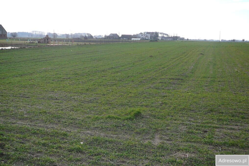 Działka budowlana Grzebienisko. Zdjęcie 6