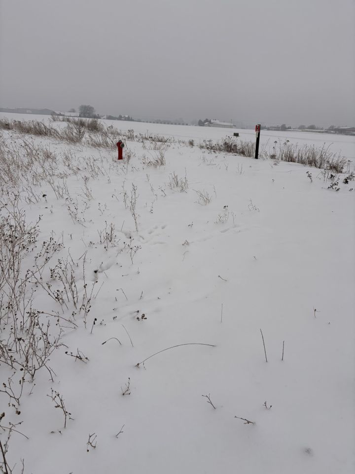 Działka budowlana Nowe Boryszewo, Nowe Boryszewo. Zdjęcie 4