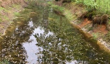 Działka leśna Osieck Kąciki, Polnej Rosy