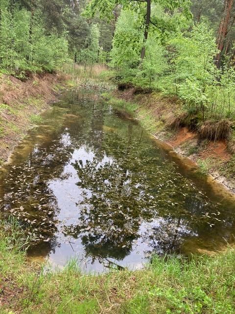 Działka leśna Osieck Kąciki, ul. Porannej Rosy. Zdjęcie 3