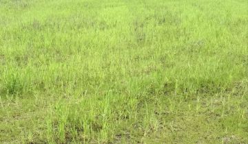 Działka budowlana Wschowa