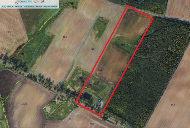 Działka budowlana Bądki. Zdjęcie 1